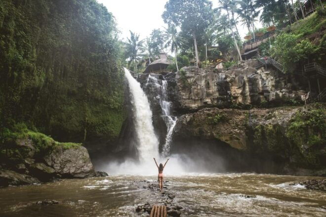 Ubud Highlights Private Day Tour - Inclusions and Exclusions