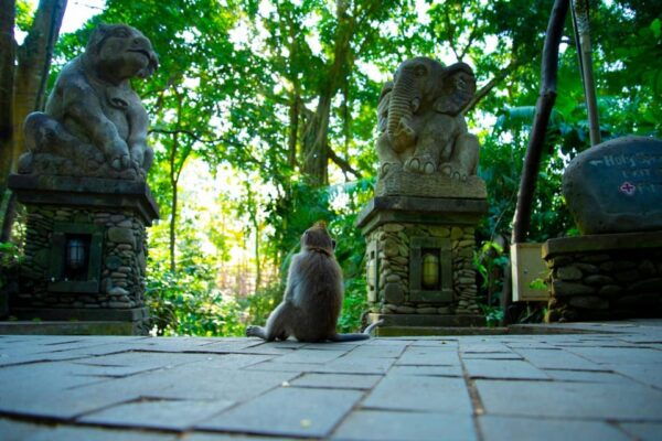 Ubud Highlights Private Day Tour - Surcharges and Additional Fees