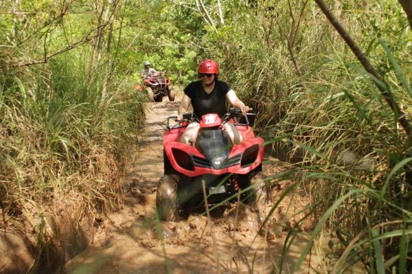 Ubud Highlights Private Day Tour - Important Recommendations