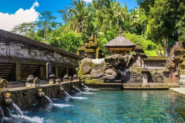 Ubud Highlights Private Day Tour - What to Bring and Restrictions