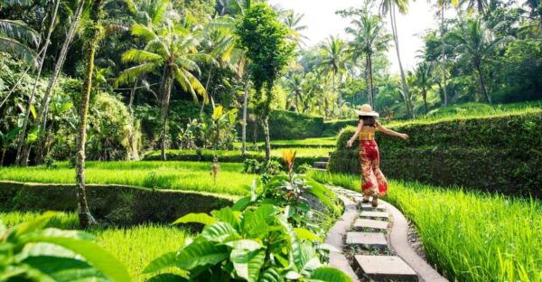 Ubud Highlights Private Day Tour - Questions You May Have