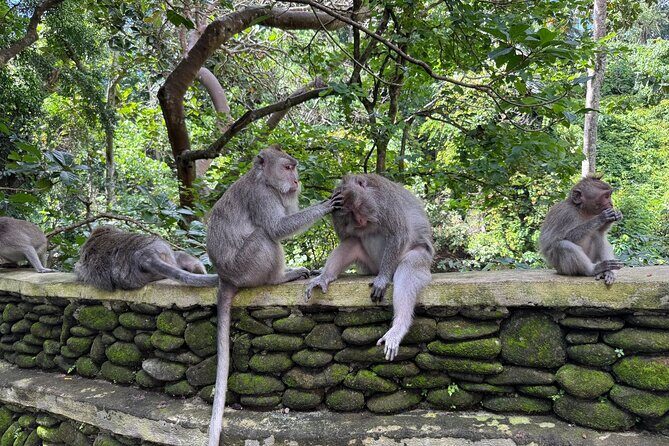 Ubud Highlights Private Day Tour - What the Reviews Say