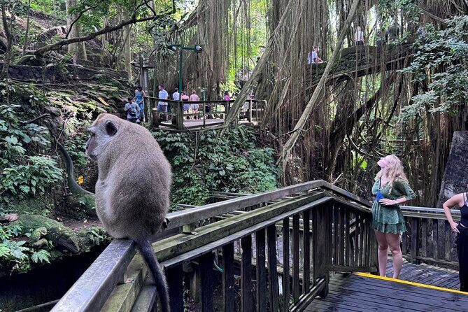 Ubud Highlights Private Day Tour - Who Should Book This Tour?