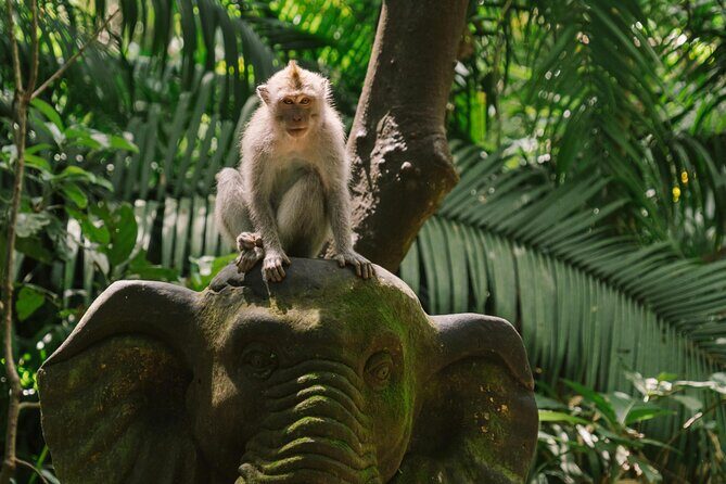 Ubud Highlights Private Tour All Inclusive with Jungle Swing - Good To Know