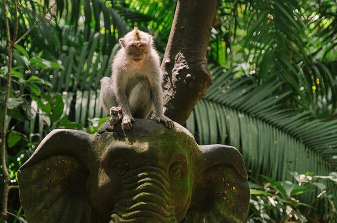 Ubud Highlights Private Tour All Inclusive with Jungle Swing - Final Thoughts