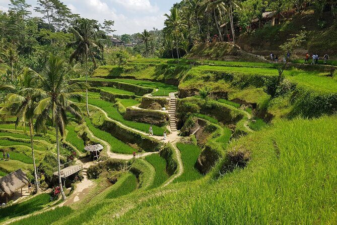 Ubud Highlights Rice Terraces, Temple, Waterfall & Monkeys forest - Authentic Experiences and Personal Touches