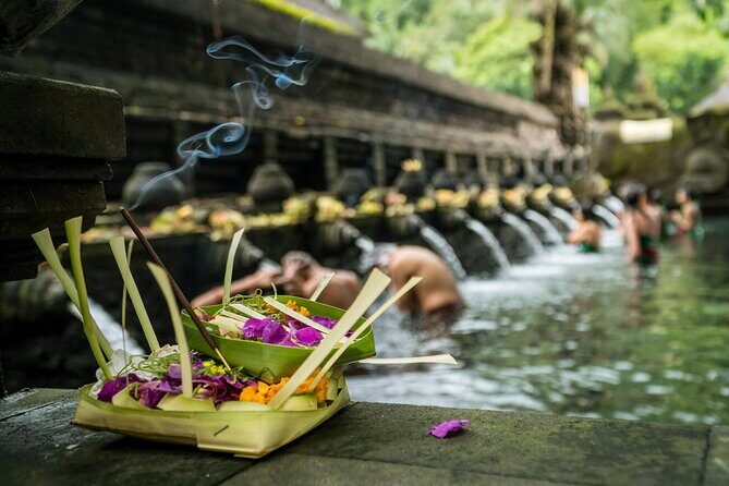 Ubud Highlights Rice Terraces, Temple, Waterfall & Monkeys forest - Summary: Who Will Love This Tour?