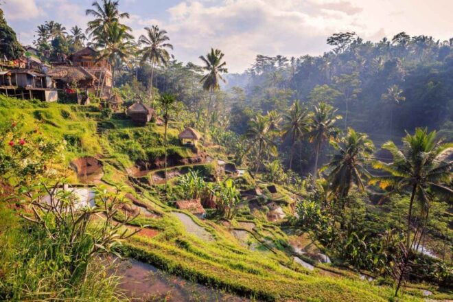 Ubud: Highlights Small Group Guided Tour - Convenient Pickup Locations in Bali