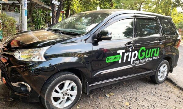 Ubud: Highlights Small Group Guided Tour - Positive Reviews and Recommendations