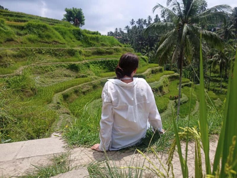 Ubud Highlights: The Ultimate Balinese Experience - A Detailed Look at Ubud Highlights Tour