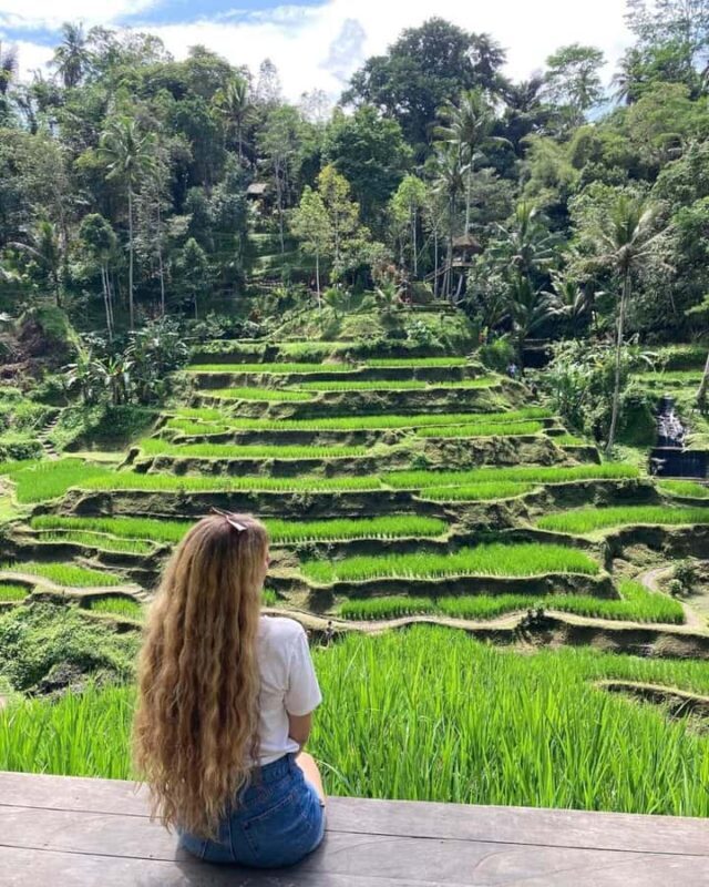 Ubud Highlights Tour: Akasa Café, Rice Terrace & Happy Swing - Final Thoughts