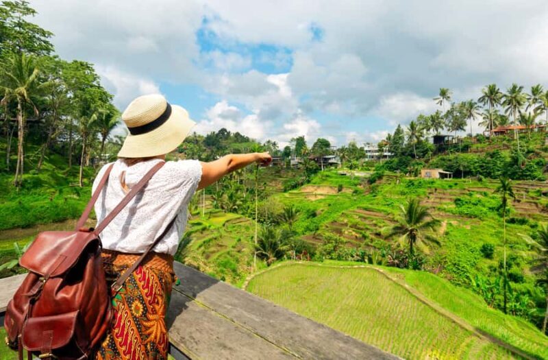 Ubud: Highlights Tour with Soul Purification & Hot Spring - Ubud: Highlights Tour with Soul Purification & Hot Spring — A Well-Rounded Dive into Bali
