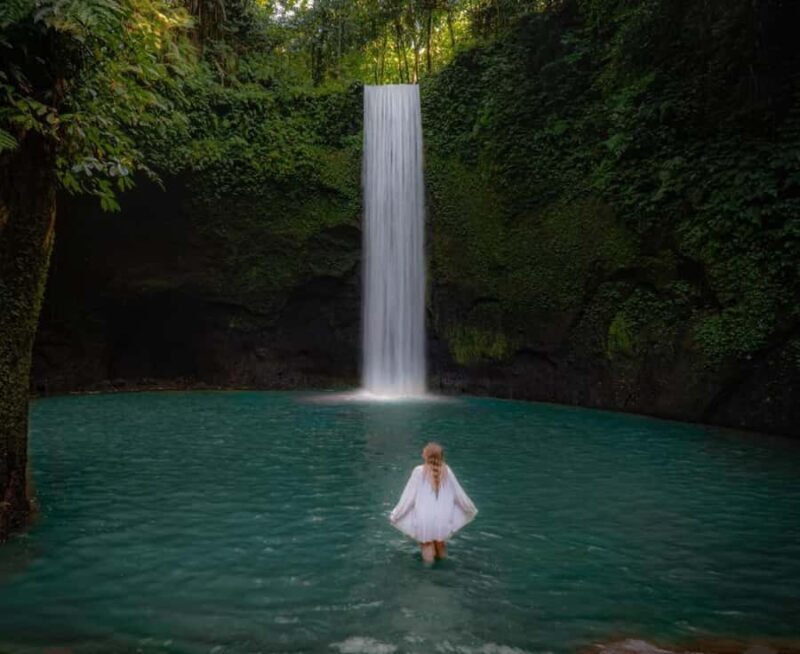 Ubud Highlights Tours Customized With Private Driver & Guide - Value and Cost Considerations