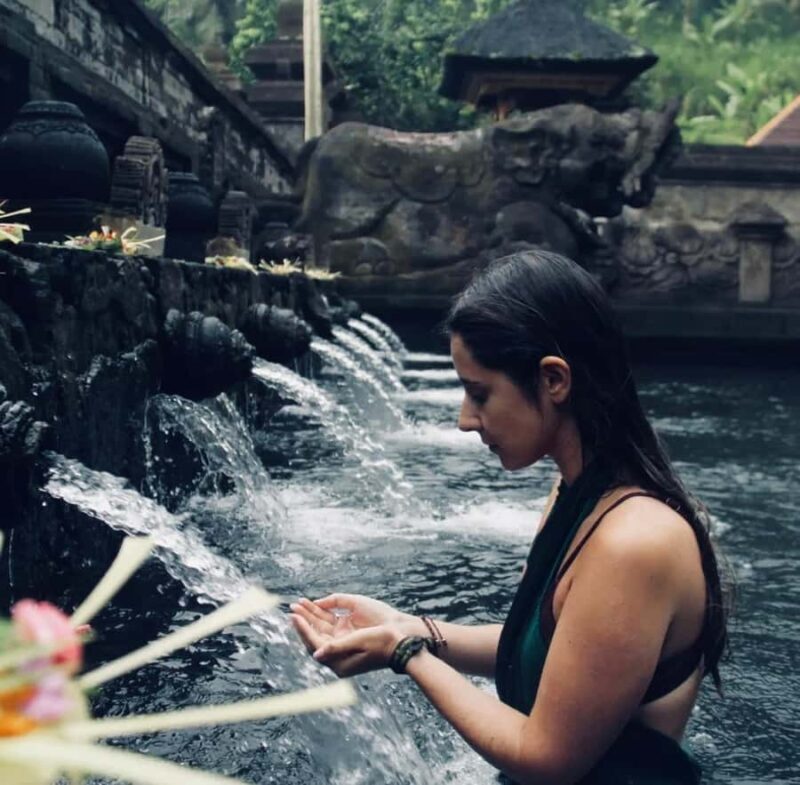 Ubud Highlights Tours Customized With Private Driver & Guide - The Sum Up