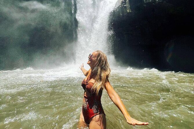 Ubud Higlights Full Day Tour - Private Tour Experience - What to Expect from This Tour