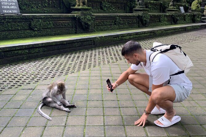 Ubud Higlights Full Day Tour - Private Tour Experience - FAQ