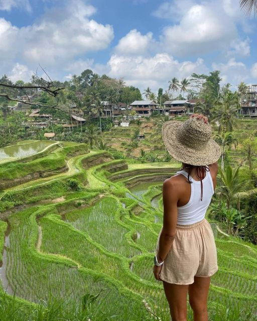 Ubud Higlights - Monkey Forest, Temple and Rice Terrace - Good To Know