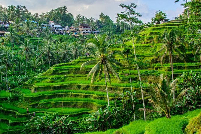 Ubud Holy Spring Temple Blissful Cleansing - Location and History