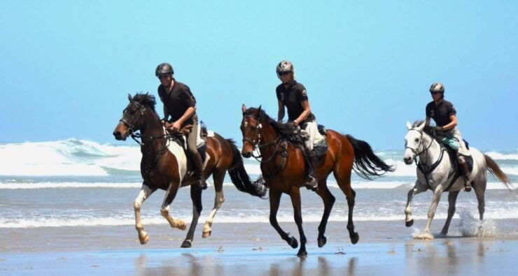 Ubud: Horse Riding on The Beach Combo Experience - Cancellation Policy