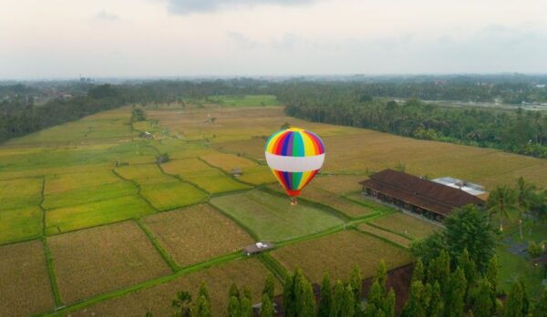 Ubud: Hot Air Balloon Experience - Customer Reviews and Ratings