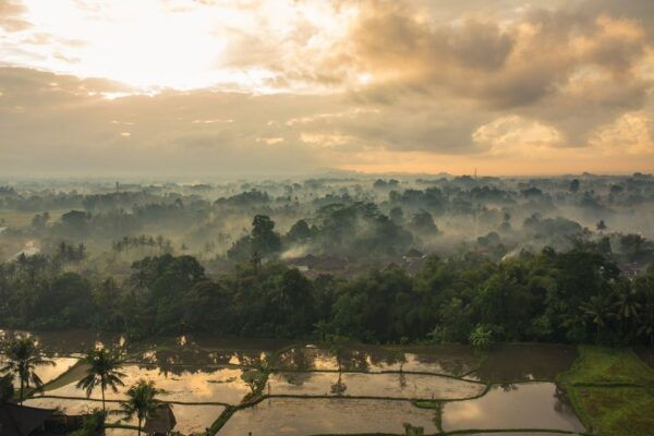 Ubud: Hot Air Balloon Experience - Common Questions