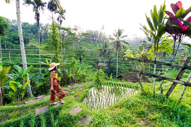 Ubud Iconic Full Day Tour Monkey Forest Rice Terraces Waterfalls - Good To Know  