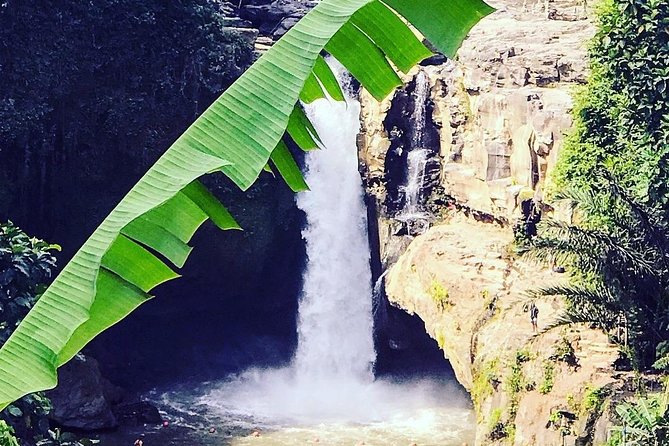 Ubud Iconic Waterfall and Temple Tours - Tour Highlights