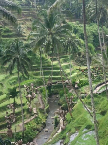 UBUD in 1-Day : Explore The Charm - Private - All Inclusive - Customer Reviews