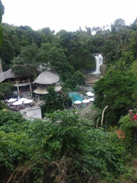 UBUD in 1-Day : Explore The Charm - Private - All Inclusive - Questions You May Have