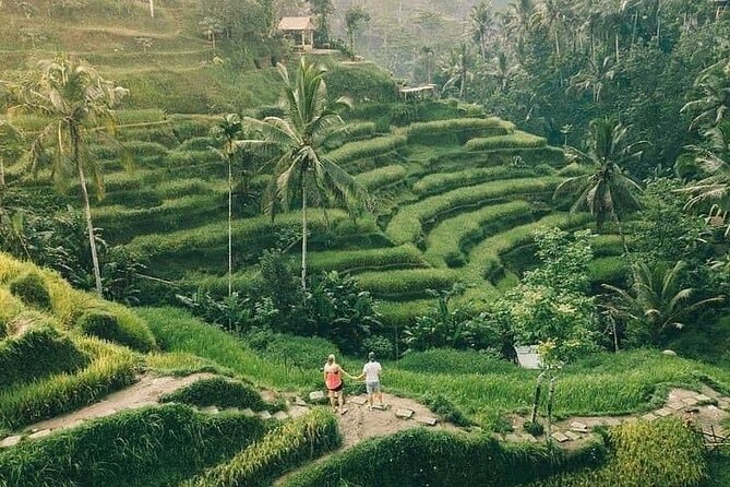 Ubud in a Day: Rice Terrace, Holy Water Temple, Waterfall, Arts - Holy Water Temple Visit