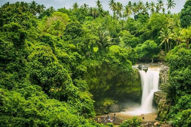 Ubud Instagram Spots Tour - One Day Private Trip - Itinerary Details