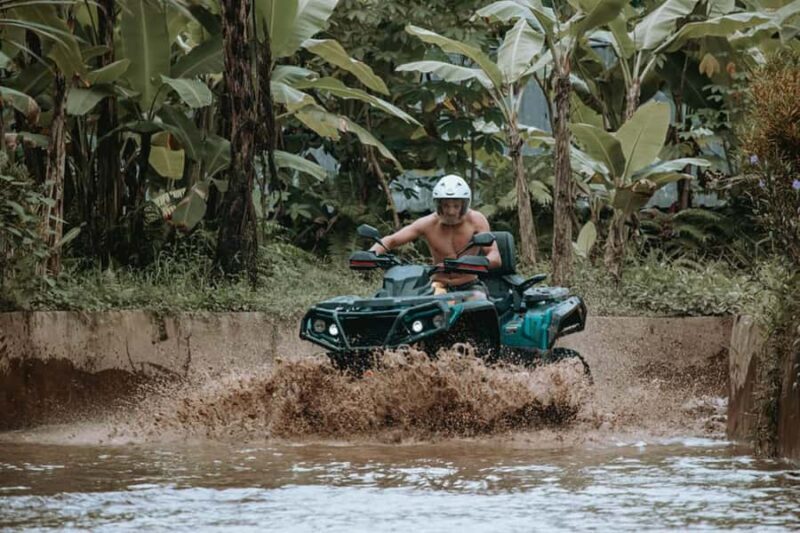 Ubud: Jungle ATV Adventure Waterfall Gorilla Cave and Lunch - Who is This Tour Best For?
