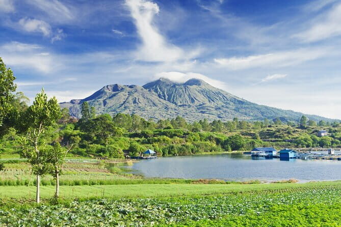 Ubud Jungle Cart Adventure + Volcano view Tour. - Final Thoughts – Who Will Love This Tour?