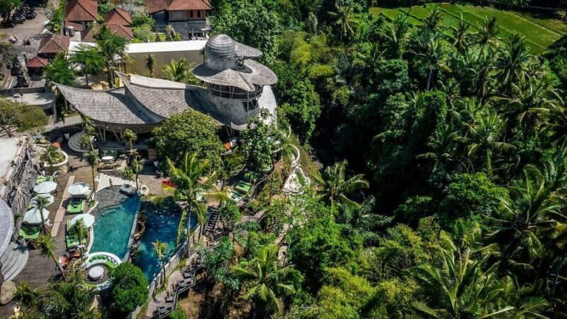 Ubud: Jungle Club Day Pass with Optional Upgrades - Authentic Feedback from Visitors  