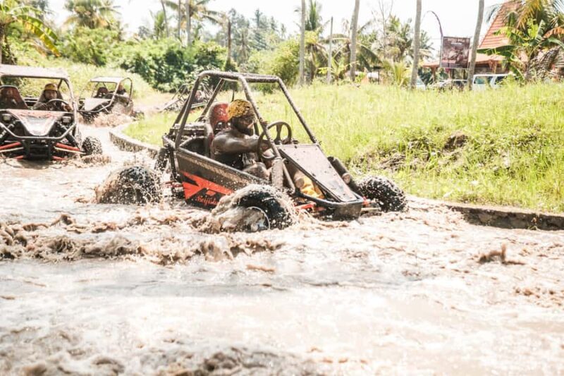 Ubud: Jungle Mud Buggy, Waterfall & Cretya Pool Private Tour - The Sum Up