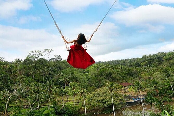 Ubud Jungle Swing Bali Tour - Pricing and Booking Details