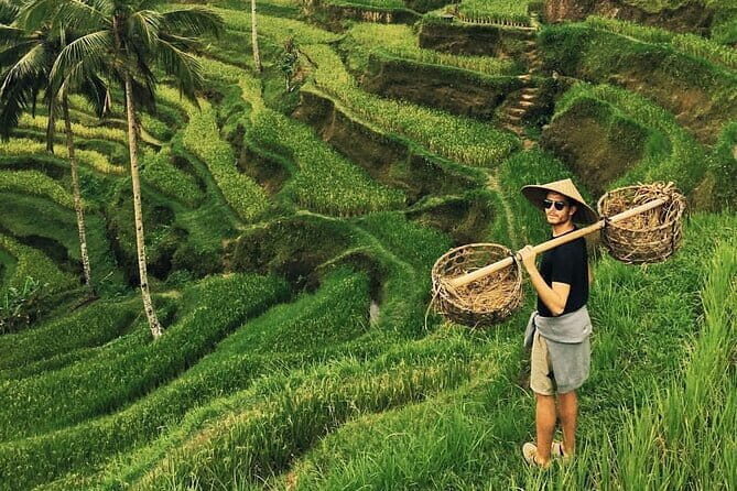 Ubud Jungle Swing - Monkey Forest - Water Temple - Waterfall - Good To Know