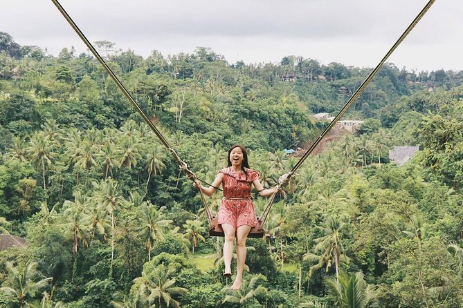 Ubud: Jungle Swing Private Tour and Volcano - Itinerary Details