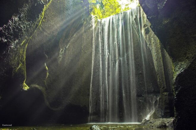 Ubud: Jungle Swing Private Tour - Review Summary