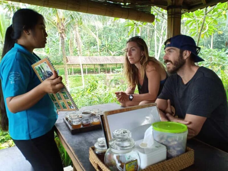 Ubud: Kanto Lampo Waterfalls, Jungle Swing, Rice Terrace - A Delicious and Authentic Lunch