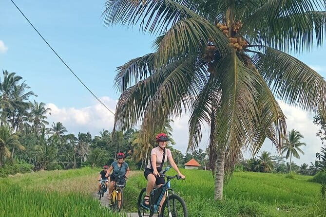 Ubud : Kintamani Downhill Cycling Tour with Lunch - Exploring the Bali Countryside on Two Wheels