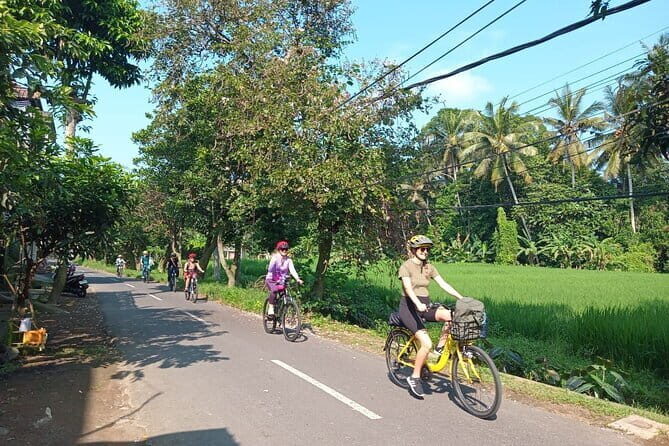 Ubud : Kintamani Downhill Cycling Tour with Lunch - Real Experiences from Travelers