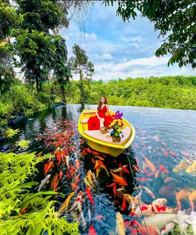 Ubud: Koi fish Photoshoot, Monkey Forest & infinity pool - Final Thoughts