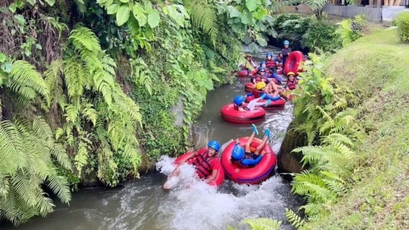 Ubud: Lazy Cave River Tubing and Zipline in Rice Terrace - Detailed Itinerary Breakdown