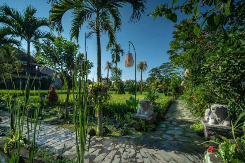 Ubud: Luxury Spa Massage Relaxing Package Amidst Rice Field - The Spa Environment