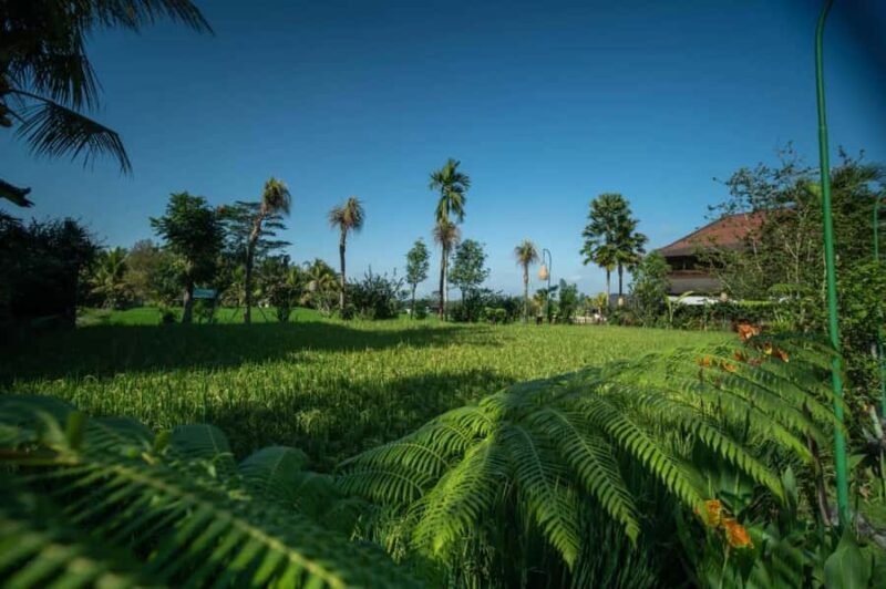 Ubud: Luxury Spa Massage Relaxing Package Amidst Rice Field - Practical Tips