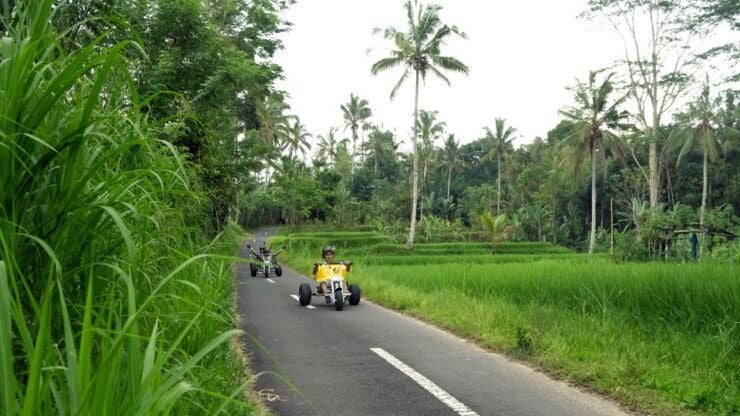 Ubud: Mario Jungle Kart Eco Gokart Adventures - Experience Highlights
