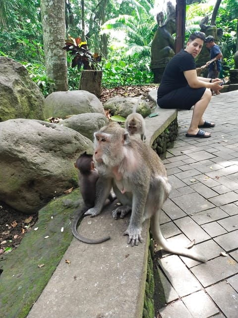 Ubud: Monkey Forest and Tegenungan Waterfall Guided Tour - Pricing Information
