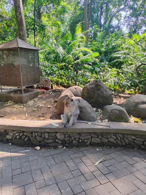 Ubud: Monkey Forest and Tegenungan Waterfall Guided Tour - Scenic Highlights