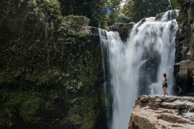 Ubud: Monkey Forest, Ceking Rice Terraces and More Full Day - An In-Depth Look at the Itinerary and Experiences